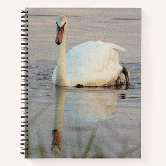 Cuaderno Cisne (Anverso)
