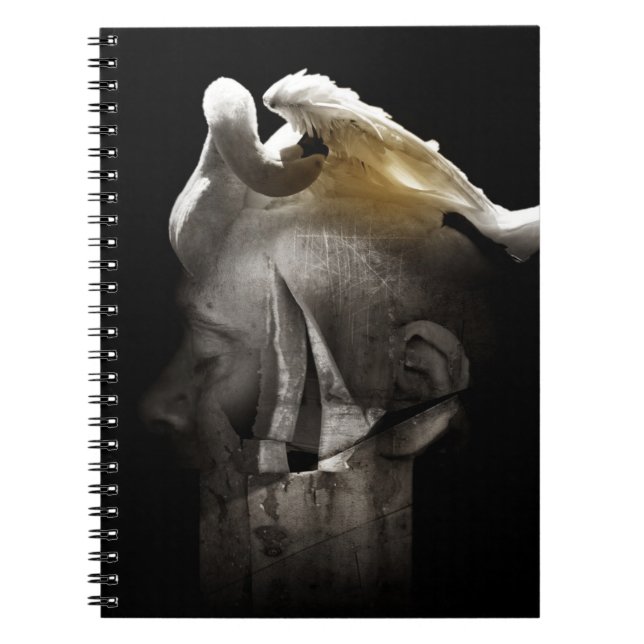 Cuaderno Cisne 2013 (Frente)
