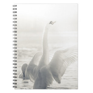 Cuaderno Cisne blanco