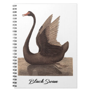 Cuaderno Cisne negro 1792
