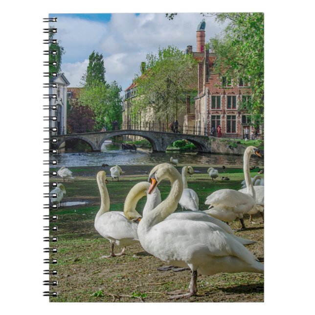 Cuaderno Cisnes blancos en el centro de Brujas (Frente)