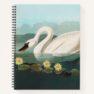 Cuaderno cisnes de agua blanca de cisne audubon