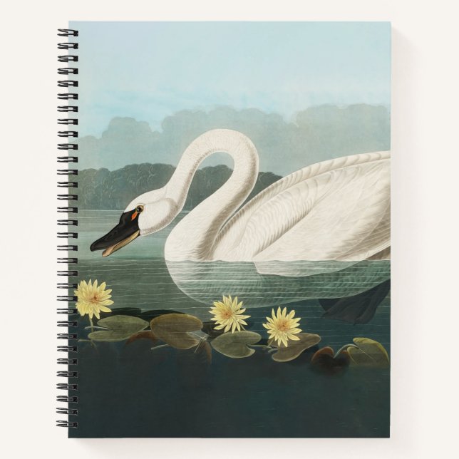 Cuaderno cisnes de agua blanca de cisne audubon (Anverso)