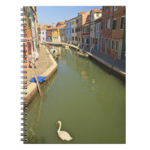 Cuaderno Cisnes en canal, isla de Burano, Venecia, Italia