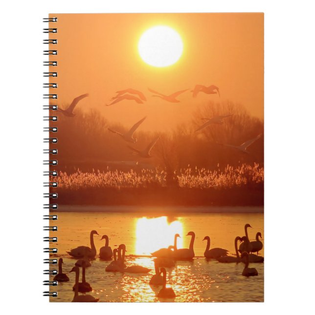 Cuaderno Cisnes en el lago Sunset (Frente)