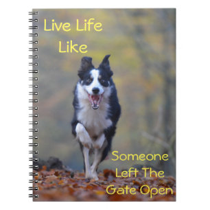 Cuaderno Cita de actitud positiva motivacional de perro fel