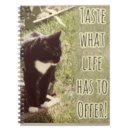 Cuaderno Cita de fotos de gatos motivacionales de sabor a v