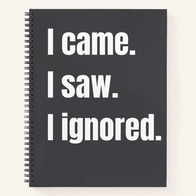 Cuaderno Cita sarcástica gracioso que vi que ignoraba meme (Anverso)