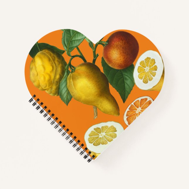 CUADERNO CITRUS FRUIT NOTEBOOK (Anverso)