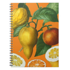 CUADERNO CITRUS FRUIT NOTEBOOK