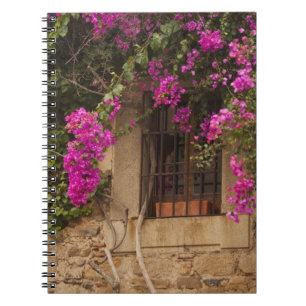 Cuaderno Ciudad Monumental, edificios cubiertos de flores