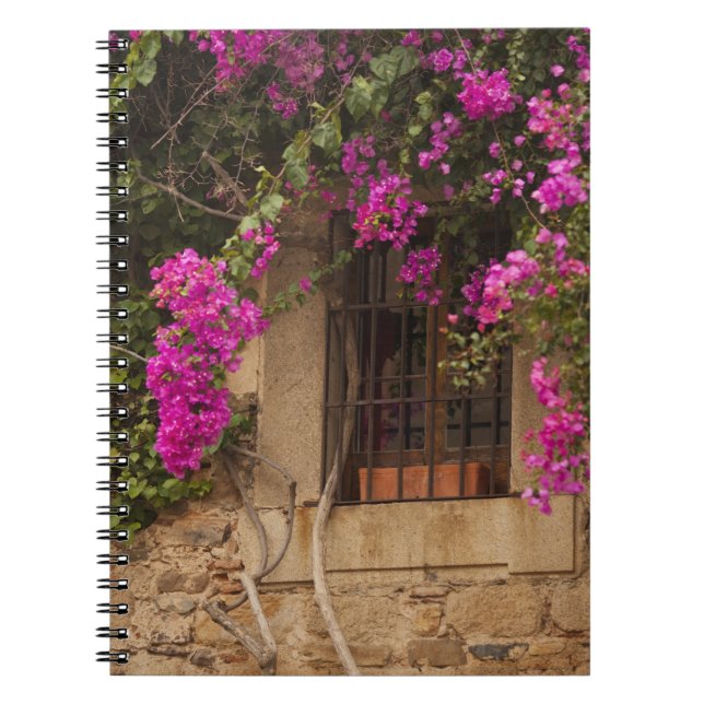 Cuaderno Ciudad Monumental, edificios cubiertos de flores (Frente)