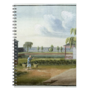 Cuaderno Clasificando té (w/c en el papel)