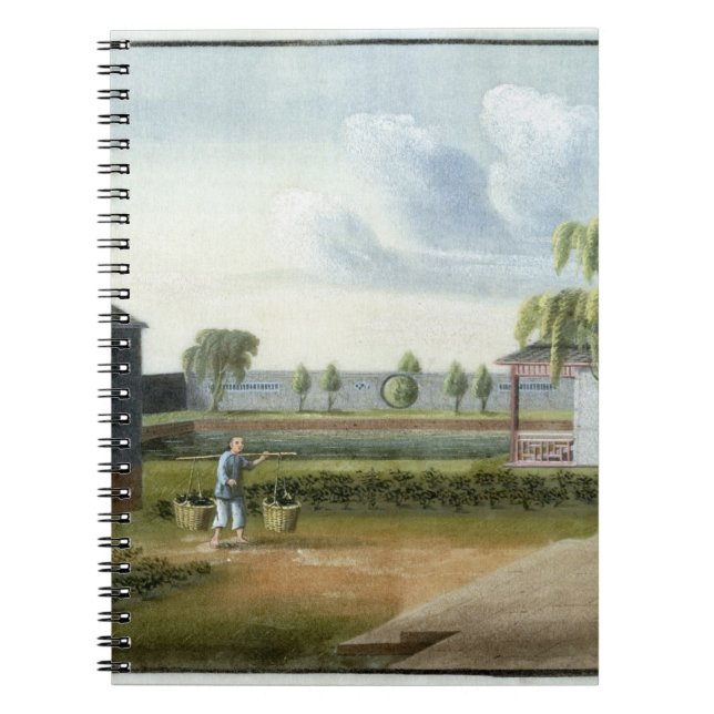 Cuaderno Clasificando té (w/c en el papel) (Frente)