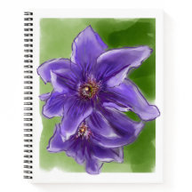 Clematis
