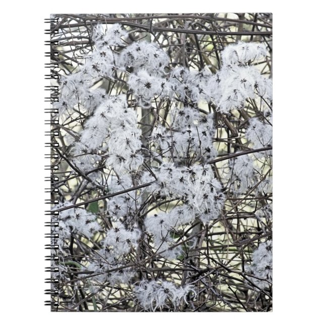 CUADERNO CLEMATIS (Frente)