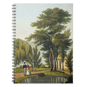 Cuaderno Clifton, 'del Naturama, o, naturaleza sin fin