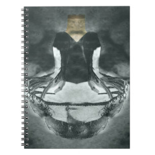 Cuaderno Clonación ida mal