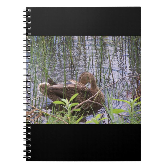 Cuaderno Closeup photo of a duck (Frente)