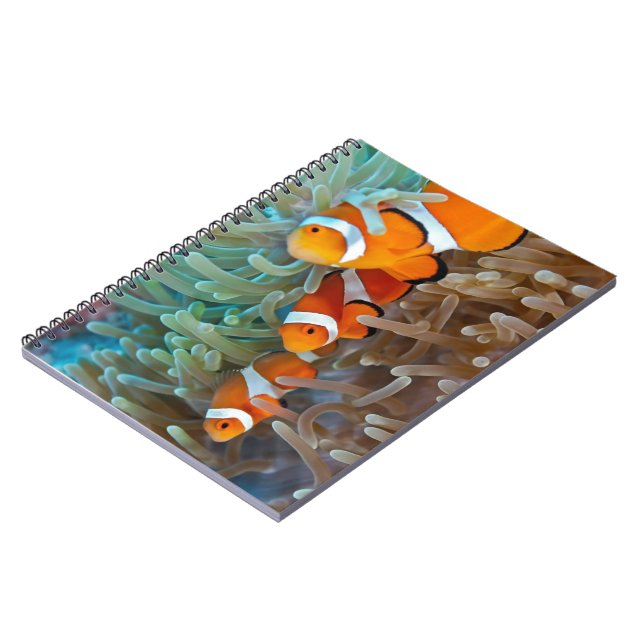 Cuaderno Clownfish (Lado Izquierdo)