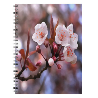 Cuaderno Clúster con flores de cerezo con rosa y azul