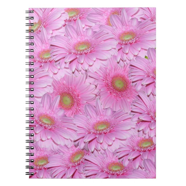 Cuaderno Clusters de flores de Gerbera rosada, (Frente)