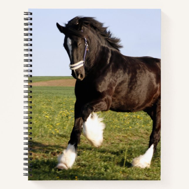 Cuaderno Clydesdale Horse (Anverso)