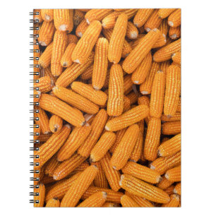 Cuaderno Cob de maíz naranja: fondo de la agricultura de co