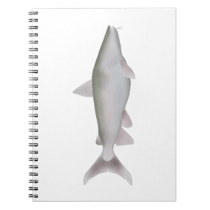 Cuaderno Cobbler plateado