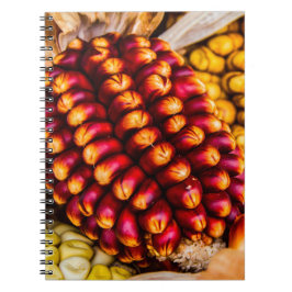 Cuaderno Coberturas de maíz