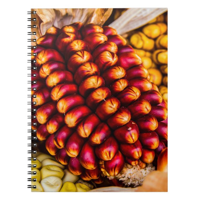 Cuaderno Coberturas de maíz (Frente)