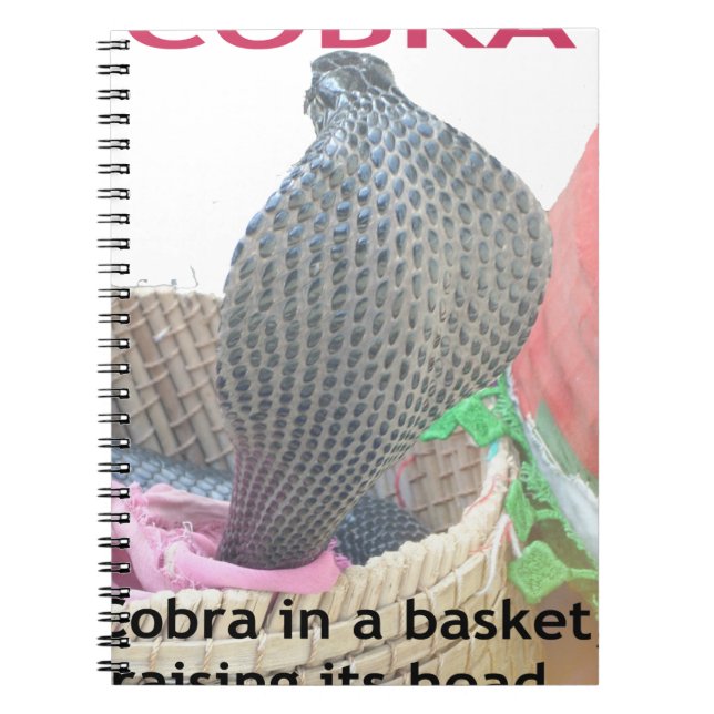 Cuaderno Cobra en la edición impresa de Basket Art (Frente)