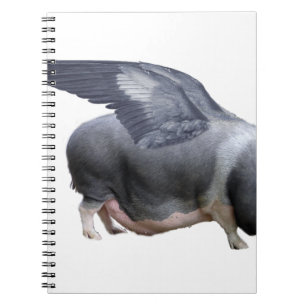 Cuaderno cochecito