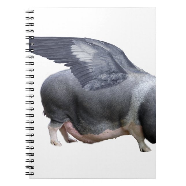 Cuaderno cochecito (Frente)