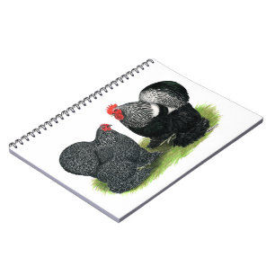 Cuaderno Cochins: lápices de plata