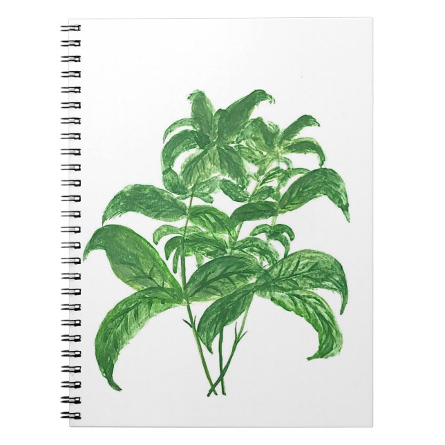 Cuaderno Cocina verde hierbas botánicas Basil (Frente)