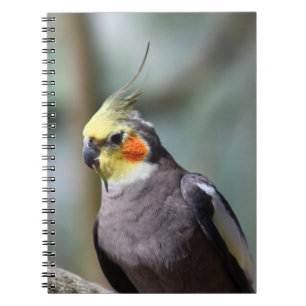 Cuaderno Cockatiel