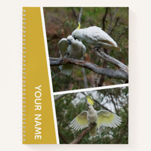 Cuaderno Cockatoo Australia Parrot Bird Collage de fotos Go