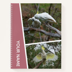 Cuaderno Cockatoo Australia Parrot Fotos de pájaro Rosa Oro