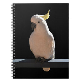 Cuaderno Cockatoo en Sundial Apartments Bloc de notas espir
