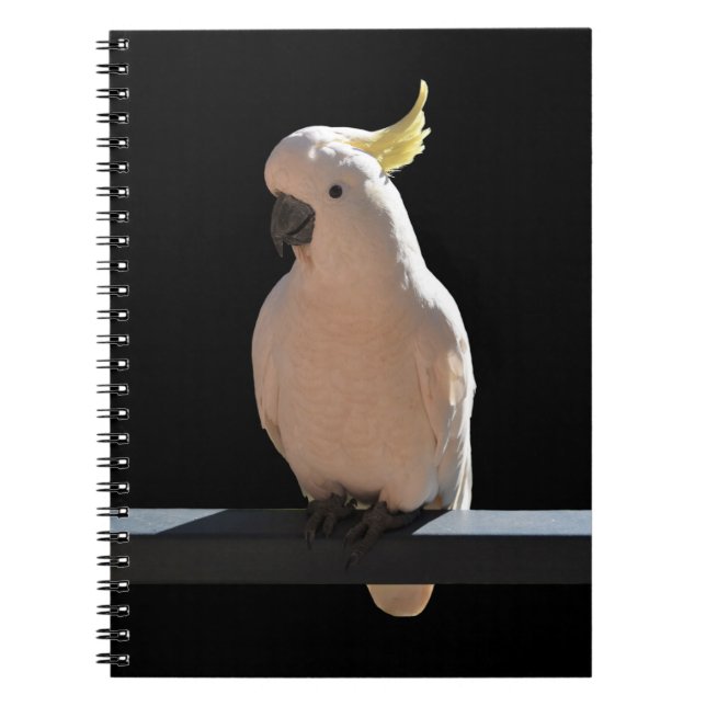 Cuaderno Cockatoo en Sundial Apartments Bloc de notas espir (Frente)