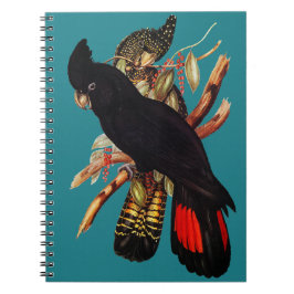Cuaderno Cockatoo negro vintage | Elizabeth Gould 1800 Pos