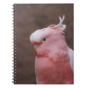 Cuaderno Cockatoo rosa
