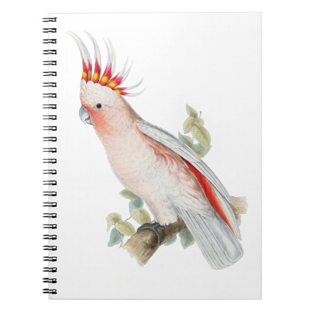 Cuaderno Cockatoo Vintage Art (Frente)