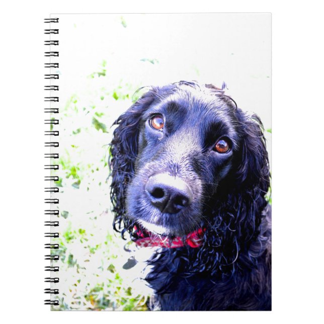 Cuaderno Cocker Spaniel (Frente)