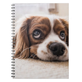 Cuaderno Cocker Spaniel Dog de ojos tristes