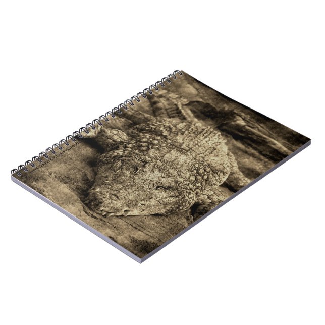 Cuaderno Cocodrilo (Lado Izquierdo)