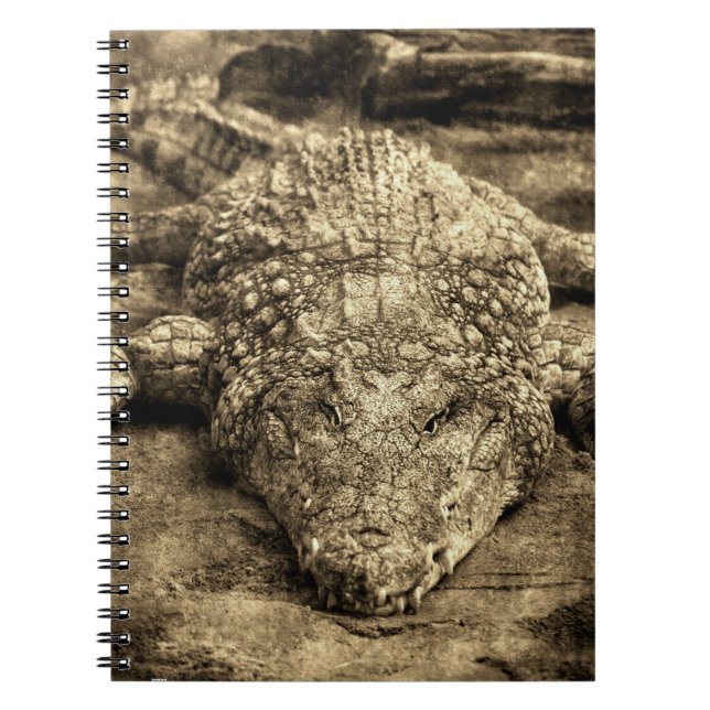 Cuaderno Cocodrilo Vintage (Frente)