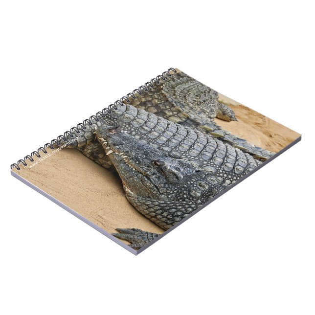Cuaderno Cocodrilos (Lado Izquierdo)