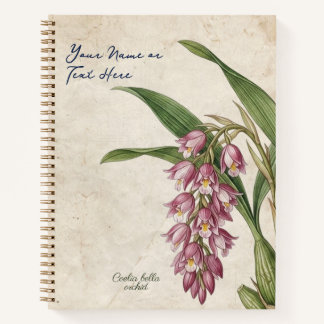 Cuaderno Coelia Bella Orquídea Botánica Vintage Personaliza